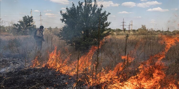 Namibia deploys army to battle raging fire in Etosha National Park