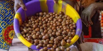 Why Tinubu banned raw shea exports: Minister