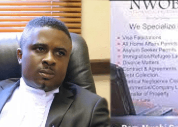 NUSA seeks voting right for Nigerians in diaspora