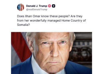 Trump, White House share post of Nigerians nabbed by FBI for wire fraud