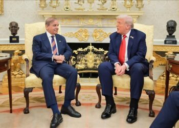 Pakistan’s prime minister lauds Trump for his role in securing ceasefire with India