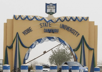 Yobe varsity begins dementia research, collects 1,100 blood, biopsy samples