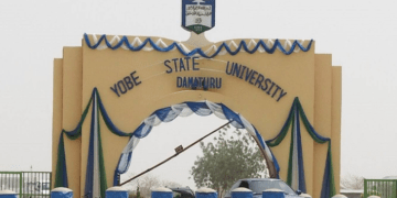 Yobe varsity begins dementia research, collects 1,100 blood, biopsy samples