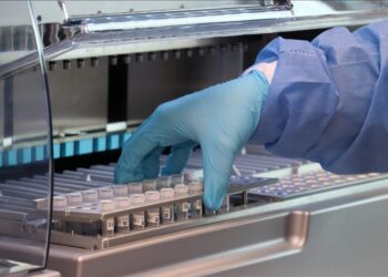 African forensics embrace AI as ‘key player’ with global backing