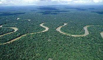 Amazon faces worst fire season in over 2 decades, emitting 791M tons of carbon dioxide