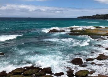 Letters from WWI soldiers found in bottle to be reunited with descendants