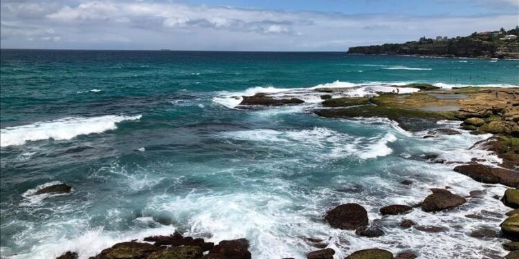 Letters from WWI soldiers found in bottle to be reunited with descendants