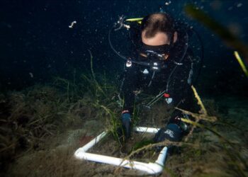 First ‘climate tipping point’ being crossed: Coral reefs in crisis, is there still a way back?