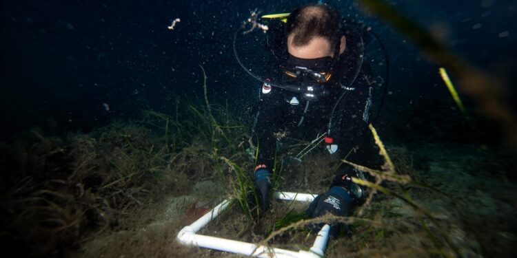 First ‘climate tipping point’ being crossed: Coral reefs in crisis, is there still a way back?