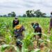 Young agripreneurs, innovators hope for profitable agricultural value chains
