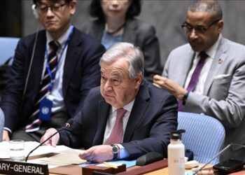 Security Council has a ‘problem of legitimacy’: UN chief