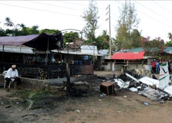 Tourists among 11 killed as light aircraft crashes in Kenya’s Kwale County