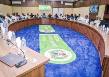 NGF, UNDP deepen partnership on subnational investment, financing reform