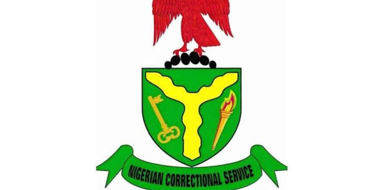 NCoS tells #FreeNnamdiKanu protesters to stay off correctional centres