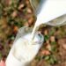 Bird flu virus found in raw milk cheese, study finds