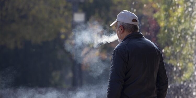 1 in 5 adults still hooked on tobacco despite global decline: WHO