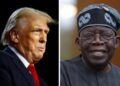 Trump should move against Tinubu govt; Nigerian military stands by as Fulani herdsmen murder Christians: New York Post