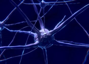 Scientists investigate how living cells could become ‘biocomputers’