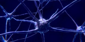 Scientists investigate how living cells could become ‘biocomputers’