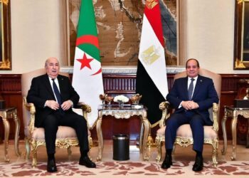 Algeria, Egypt sign 18 agreements, memorandums to bolster bilateral cooperation