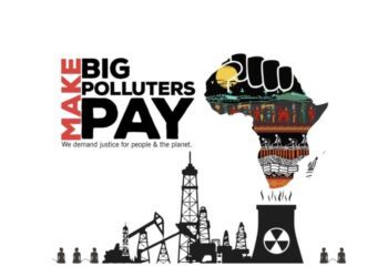 COP30: Coalition rejects $125 billion tropical forest ‘forever facility’