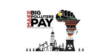 COP30: Coalition rejects $125 billion tropical forest ‘forever facility’