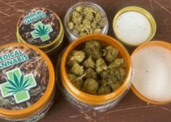 NDLEA warns Nigerians against fake medicinal cannabis