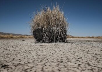 Study links repeated centuries-long droughts to decline of Indus Valley civilization