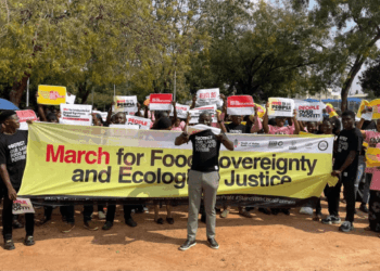 FG urged to protect smallholder farmers  from agro-industrial giants