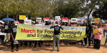 FG urged to protect smallholder farmers  from agro-industrial giants