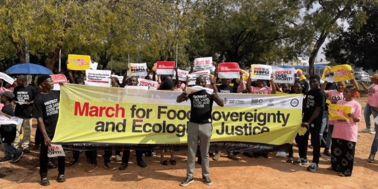 FG urged to protect smallholder farmers  from agro-industrial giants