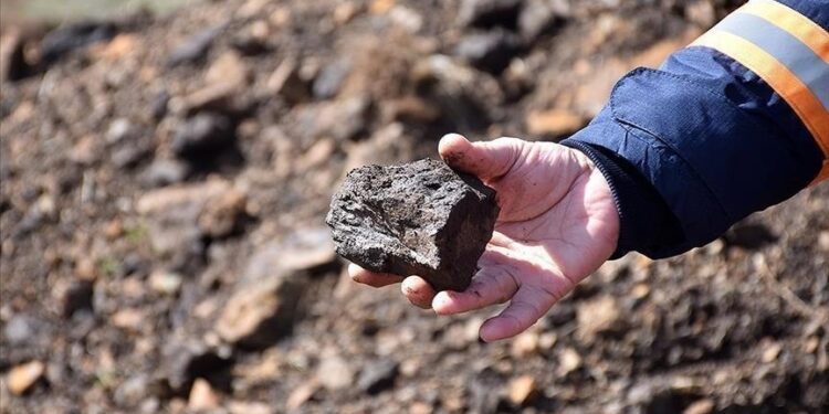 Scientists extract rare earth minerals from living plants