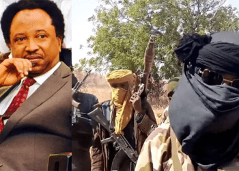 Terrorists, bandits killing innocent Nigerians are Muslims, Fulanis: Shehu Sani