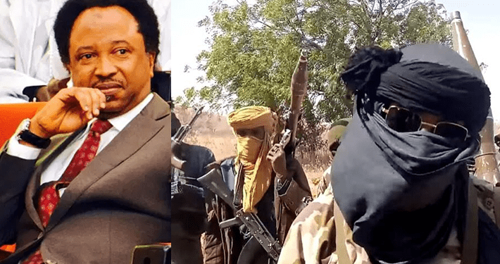 Terrorists, bandits killing innocent Nigerians are Muslims, Fulanis: Shehu Sani