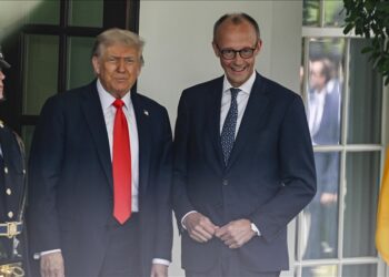 German chancellor criticizes US president for boycotting G20 summit in South Africa