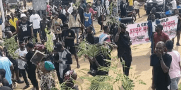 Fulani terrorists killed my five children in Yelwata attack, Nigerian woman tells U.S. Congress