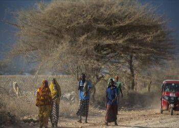 YEAR-ENDER – How climate change has impacted Africa so far this century