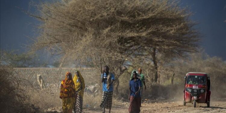 YEAR-ENDER – How climate change has impacted Africa so far this century