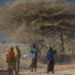 YEAR-ENDER – How climate change has impacted Africa so far this century