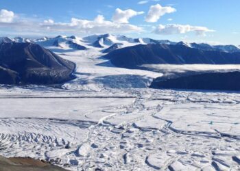 Arctic records hottest year in 125 years, sea ice hits 47-year low: Report