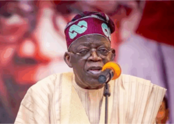Tinubu signed tax bills National Assembly presented to him: Taiwo Oyedele