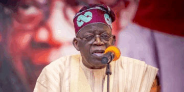 Tinubu signed tax bills National Assembly presented to him: Taiwo Oyedele