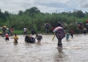 Over 700 people fleeing fighting in DR Congo seek refuge in Rwanda