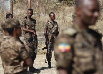 Ethiopian army says over 200 armed fighters surrender in western Oromia