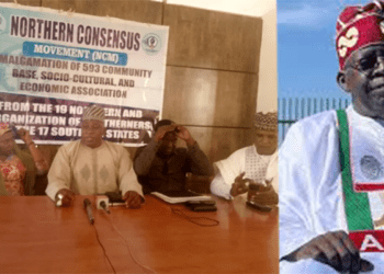 Operators allege harassment, arrest for demanding delivery of two million tricycles Tinubu promised during campaign