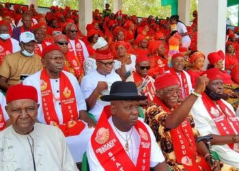 Ohanaeze sets up companies, consults Afri-Invest to push Igbo agenda