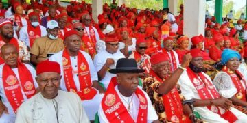 Ohanaeze sets up companies, consults Afri-Invest to push Igbo agenda