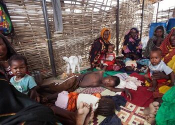 Doctors sound alarm over fate of Sudanese children, women trapped in West Kordofan city