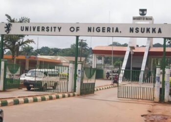 Chimamanda Adichie, Urama, James Robinson appointed as UNN visiting professors