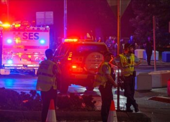 Ahmed, global hero who disarmed Australian beach shooter, was ‘shot 4 to 5 times’